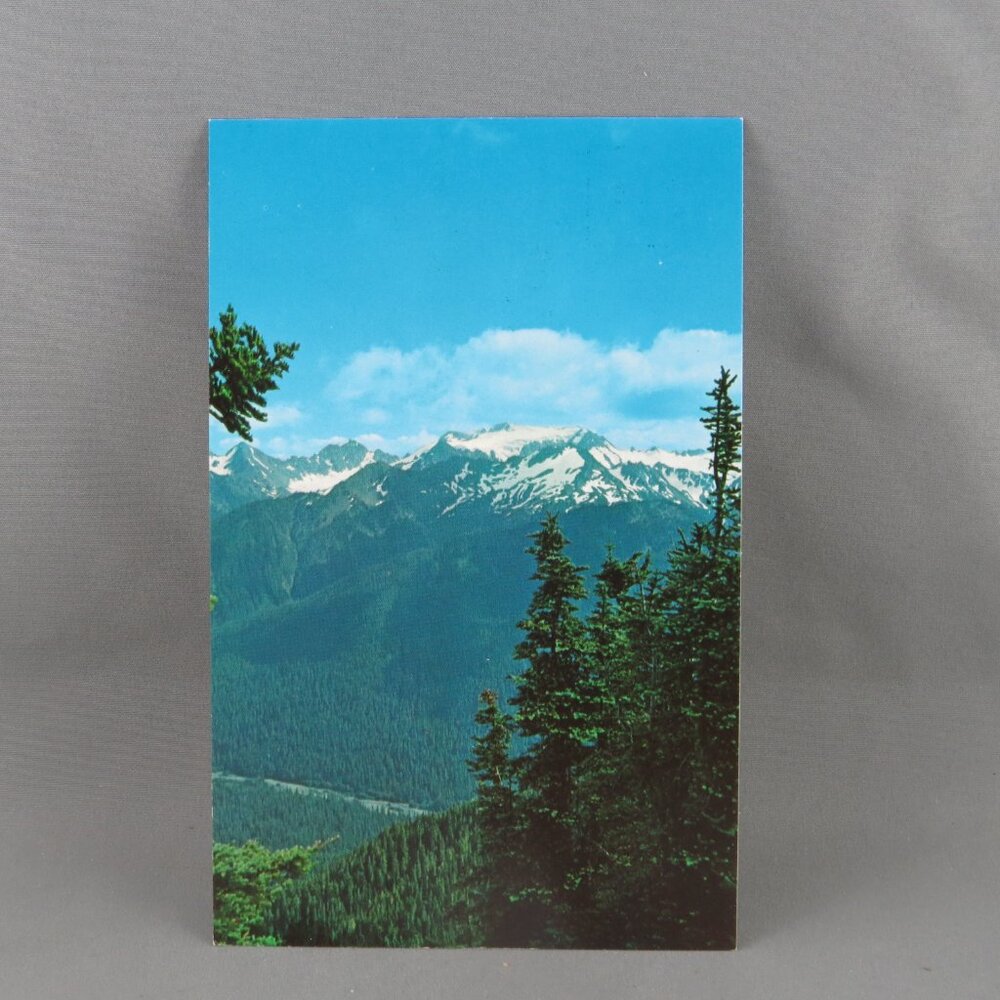 Vintage Postcard - Mt Olympus from the High Divide (WA) - National Park Conce.